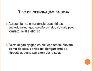 TIPO DE GERMINAÇÃO DA SOJA
 Apresenta na emergência duas folhas
cotiledonares, que se diferem das demais pelo
formato, oval e elíptico.
 Germinação epígea os cotilédones se elevam
acima do solo, devido ao alongamento do
hipocótilo, como por exemplo, a soja.
 
