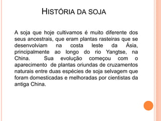 HISTÓRIA DA SOJA
A soja que hoje cultivamos é muito diferente dos
seus ancestrais, que eram plantas rasteiras que se
desenvolviam na costa leste da Ásia,
principalmente ao longo do rio Yangtse, na
China. Sua evolução começou com o
aparecimento de plantas oriundas de cruzamentos
naturais entre duas espécies de soja selvagem que
foram domesticadas e melhoradas por cientistas da
antiga China.
 