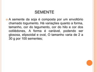 SEMENTE
 A semente da soja é composta por um envoltório
chamado togumento. Há variações quanto a forma,
tamanho, cor do tegumento, cor do hilo e cor dos
cotilédones, A forma é cariável, podendo ser
glososa, elipsoidal e oval, O tamanho varia de 2 a
30 g por 100 sementes;
 