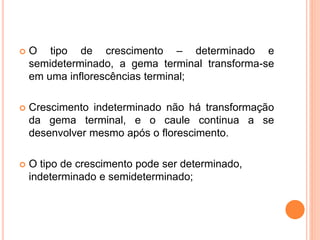  O tipo de crescimento – determinado e
semideterminado, a gema terminal transforma-se
em uma inflorescências terminal;
 Crescimento indeterminado não há transformação
da gema terminal, e o caule continua a se
desenvolver mesmo após o florescimento.
 O tipo de crescimento pode ser determinado,
indeterminado e semideterminado;
 
