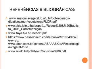 REFERÊNCIAS BIBLIOGRÁFICAS:
 www.anatomiavegetal.ib.ufu.br/pdf-recursos-
didaticos/morfvegetalorgaFLOR.pdf
 www.alcb.ibio.ufba.br/pdf/.../Roque%20&%20Bautis
ta_2008_Caracterização.
 www.itaya.bio.br/racaext.pdf
 https://www.passeidireto.com/arquivo/1019349/caul
e-e-raiz
www.ebah.com.br/content/ABAAABXIoAF/morfologi
a-vegetal-fruto
 www.scielo.br/pdf/rbs/v32n3/v32n3a06.pdf
 