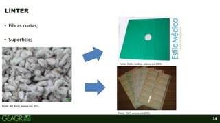 14
LÍNTER
• Fibras curtas;
• Superfície;
Fonte: MF Rural, acesso em 2021.
Fonte: Estilo médico, acesso em 2021.
Fonte: Elo7, acesso em 2021.
 