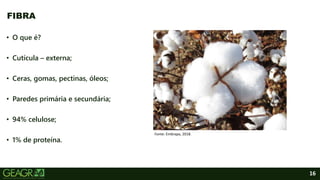 16
• O que é?
• Cutícula – externa;
• Ceras, gomas, pectinas, óleos;
• Paredes primária e secundária;
• 94% celulose;
• 1% de proteína.
FIBRA
Fonte: Embrapa, 2018.
 