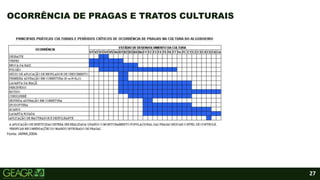 27
OCORRÊNCIA DE PRAGAS E TRATOS CULTURAIS
Fonte: IAPAR,2004.
 