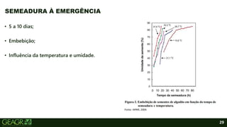29
• 5 a 10 dias;
• Embebição;
• Influência da temperatura e umidade.
SEMEADURA À EMERGÊNCIA
Fonte: IAPAR, 2004.
 