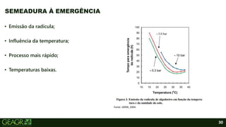 30
• Emissão da radícula;
• Influência da temperatura;
• Processo mais rápido;
• Temperaturas baixas.
SEMEADURA À EMERGÊNCIA
Fonte: IAPAR, 2004.
 