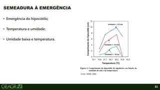 31
• Emergência do hipocótilo;
• Temperatura e umidade;
• Umidade baixa e temperatura.
SEMEADURA À EMERGÊNCIA
Fonte: IAPAR, 2004.
 