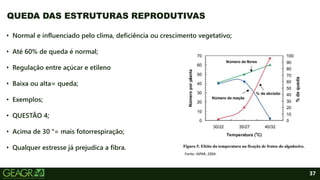 37
• Normal e influenciado pelo clima, deficiência ou crescimento vegetativo;
• Até 60% de queda é normal;
• Regulação entre açúcar e etileno
• Baixa ou alta= queda;
• Exemplos;
• QUESTÃO 4;
• Acima de 30 °= mais fotorrespiração;
• Qualquer estresse já prejudica a fibra.
QUEDA DAS ESTRUTURAS REPRODUTIVAS
Fonte: IAPAR, 2004.
 