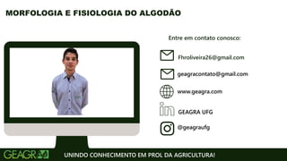 Entre em contato conosco:
www.geagra.com
geagracontato@gmail.com
GEAGRA UFG
@geagraufg
UNINDO CONHECIMENTO EM PROL DA AGRICULTURA!
MORFOLOGIA E FISIOLOGIA DO ALGODÃO
Fhroliveira26@gmail.com
 