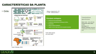 5
• Ciclo:
CARACTERÍSTICAS DA PLANTA
Fonte: Basf. Acesso
em set de 2021.
Fonte: Embrapa, 2019.
 