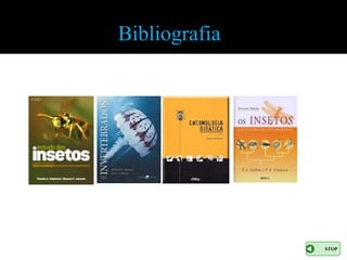 Bibliografia




               STOP
 