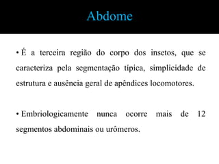 5-5-4CursorialFossorial Coletora Tarso/ tarsômerosNatatorialGarras/arólioSaltatorialRaptorialPernasTíbiaCoxaFêmurTrocanterFórmula Tarsal =  5:5:5   4:4:4   5:5:4