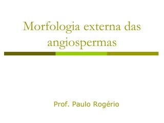 Morfologia externa das
    angiospermas



     Prof. Paulo Rogério
 