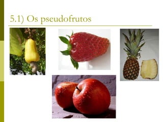 5.1) Os pseudofrutos
 