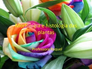 Morfologia e histologia das 
plantas 
Professora Raquel 
 
