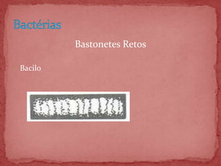 Bastonetes Retos
 Bacilo
 