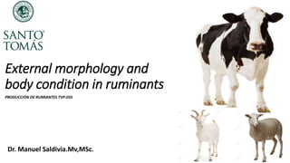 External morphology and
body condition in ruminants
Dr. Manuel Saldivia.Mv,MSc.
PRODUCCI�N DE RUMIANTES TVP-035
 