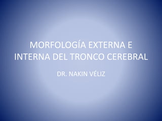 MORFOLOGÍA EXTERNA E
INTERNA DEL TRONCO CEREBRAL
DR. NAKIN VÉLIZ
 