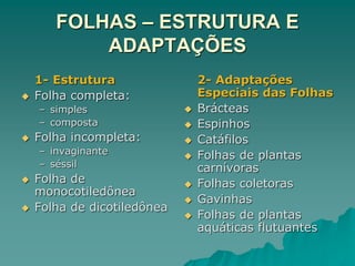 FOLHAS – ESTRUTURA E
ADAPTAÇÕES
1- Estrutura
 Folha completa:
– simples
– composta
 Folha incompleta:
– invaginante
– séssil
 Folha de
monocotiledônea
 Folha de dicotiledônea
2- Adaptações
Especiais das Folhas
 Brácteas
 Espinhos
 Catáfilos
 Folhas de plantas
carnívoras
 Folhas coletoras
 Gavinhas
 Folhas de plantas
aquáticas flutuantes
 
