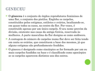 GINECEU O  gineceu  é o conjunto de órgãos reprodutores femininos de uma flor, o conjunto dos pistilos. Engloba os carpelos, constituídos pelos estigmas, estiletes e ovários, localizando-se, em quase todos os casos, no centro da flor. Por vezes, é constituído apenas por um único carpelo. O seu nome provém da divisão, existente nas casas da antiga Grécia, reservada às mulheres. A parte masculina da flor designa-se como androceu. A contagem do número de carpelos numa flor deve ser feita tendo em conta os ovários, que constituem a base dos mesmos, já que alguns estigmas são profundamente fendidos. O gineceu é designado como sincárpico se for formado por um ou mais carpelos fundidos na base e é classificado como apocárpico se os carpelos aparecem distintos uns dos outros. 