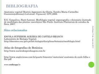 BIBLIOGRAFIA Anatomia vegetal/ Beatriz Appezzato-da-Gloria, Sandra Maria Carmelho-Guerreiro(editoras)-2.ed.atual.-Viçosa:ed. UFV,2006. E.G. Gonçalves, Harri Lorenzi. Morfologia vegetal: organografia e dicionário ilustrado de morfologia das plantas vasculares/ São Paulo: Instituto Plantarum de estudos da flora, 2007. Sites relacionados ESCOLA SUPERIOR AGRÁRIA DE CASTELO BRANCO  Laboratório de Biologia Vegetal. http://docentes.esa.ipcb.pt/lab.biologia/disciplinas/botanica/morfologia.html Atlas de fotografias de Botânica http://www.nucleodeapredizagem.com.br http://www.anglovicosa.com.br/quarto bimestre/ materiais/ anatomia do caule folha e flor.pdf www. embrapa .br Confresa 17 de  maio de 2011 