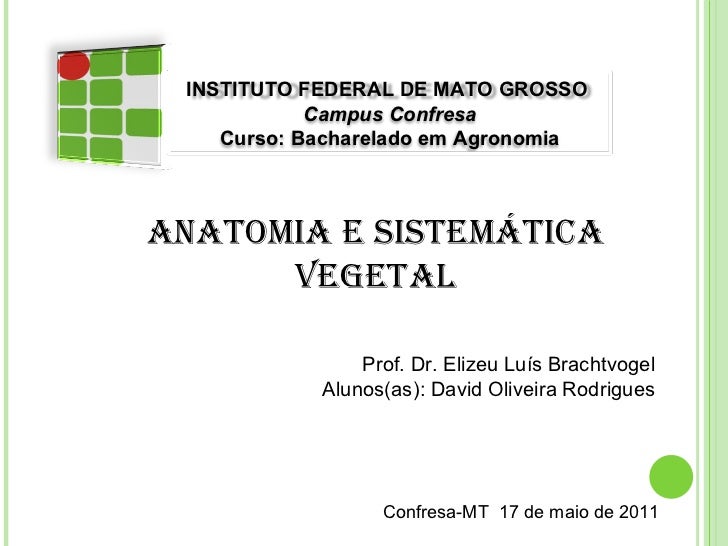 Anatomia e Sistemática Vegetal Prof. Dr. Elizeu Luís Brachtvogel Alunos(as): David Oliveira Rodrigues Confresa-MT  17 de m...