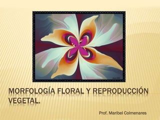 MORFOLOGÍA FLORAL Y REPRODUCCIÓN
VEGETAL.
Prof. Maribel Colmenares
 