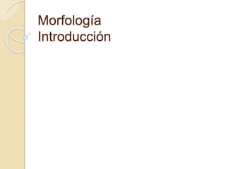 Morfología
Introducción
 