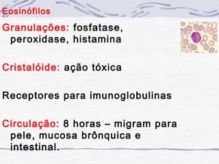 Eosinófilos
Granulações: fosfatase,
 peroxidase, histamina

Cristalóide: ação tóxica

Receptores para imunoglobulinas

Circulação: 8 horas – migram para
 pele, mucosa brônquica e
 intestinal.
 