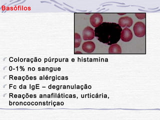 Basófilos




  Coloração púrpura e histamina
  0-1% no sangue
  Reações alérgicas
  Fc da IgE – degranulação
  Reações anafiláticas, urticária,
  broncoconstriçao
 