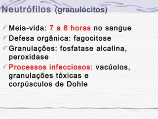 Neutrófilos (granulócitos)

 Meia-vida: 7 a 8 horas no sangue
 Defesa orgânica: fagocitose
 Granulações: fosfatase alcalina,
 peroxidase
 Processos infecciosos: vacúolos,
 granulações tóxicas e
 corpúsculos de Dohle
 
