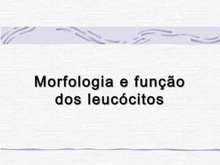 Morfologia e função
  dos leucócitos
 