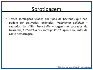Sorotipagem
• Testes sorológicos usados em tipos de bactérias que não
podem ser cultivados, exemplos, Treponema pallidum –
causador da sífilis, Francisella – organismo causador da
tularemia, Escherichia coli sorotipo O157, agente causador da
colite hemorrágica;
Técnicas de identificação bacterianas
 