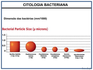 Dimensão das bactérias (mm/1000)
CITOLOGIA BACTERIANA
Introdução
 