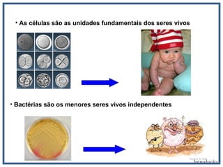 • As células são as unidades fundamentais dos seres vivos
• Bactérias são os menores seres vivos independentes
Introdução
 
