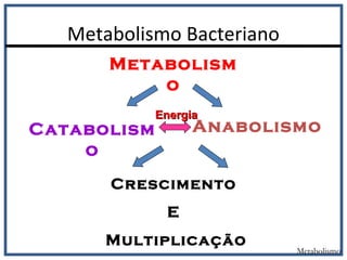 Metabolismo Bacteriano
Metabolismo
Metabolism
o
Catabolism
o
Anabolismo
EnergiaEnergia
Crescimento
E
Multiplicação
 