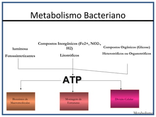 Metabolismo Bacteriano
Metabolismo
luminosa
Fotossintetizantes
Compostos Inorgânicos (Fe2+, NO2-,
H2)
Litotróficos
Compostos Orgânicos (Glicose)
Heterotróficos ou Organotróficos
ATPATP
Biossíntes de
Macromoléculas
Montagem de
Estruturas
Divisão Celular
 
