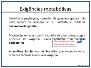 Exigências metabólicas
• Clostridium perfringens, causador da gangrena gasosa, não
pode crescer na presença de O2. Portanto, é considera
anaeróbio obrigatório;
• Mycobacterium tuberculosis, causador da tuberculose, exige a
presença de oxigênio, sendo portanto, um aeróbio
obrigatório;
• Anaeróbios facultativos  Bactérias que vivem tanto na
presença como na ausência de oxigênio;
Metabolismo
Produção da enzima
superóxido dismutase
 