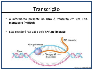 Transcrição
• A informação presente no DNA é transcrita em um RNA
mensageio (mRNA);
• Essa reação é realizada pela RNA polimerase
Genética Bacteriana
 