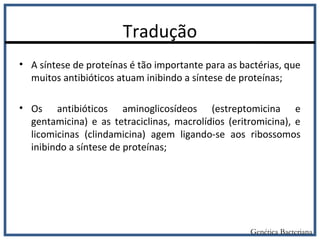 Tradução
• A síntese de proteínas é tão importante para as bactérias, que
muitos antibióticos atuam inibindo a síntese de proteínas;
• Os antibióticos aminoglicosídeos (estreptomicina e
gentamicina) e as tetraciclinas, macrolídios (eritromicina), e
licomicinas (clindamicina) agem ligando-se aos ribossomos
inibindo a síntese de proteínas;
Genética Bacteriana
 