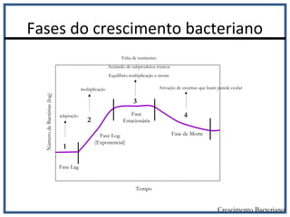 Fases do crescimento bacteriano
Crescimento Bacteriano
1
2
3
4
NúmerodeBactérias(log)
Tempo
Fase Lag
Fase Log
(Exponencial)
Fase
Estacionária
Fase de Morte
adaptação
multiplicação
Falta de nutrientes
Acúmulo de subprodutos tóxicos
Equilíbrio multiplicação e morte
Ativação de enzimas que lisam parede ceular
 