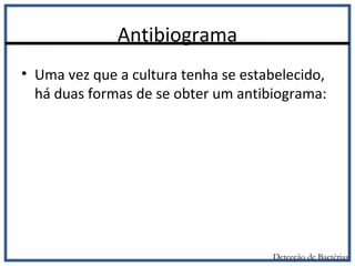 Antibiograma
Detecção de Bactérias
• Uma vez que a cultura tenha se estabelecido,
há duas formas de se obter um antibiograma:
 