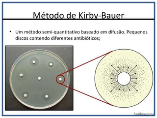 Método de Kirby-Bauer
Antibiograma
• Um método semi-quantitativo baseado em difusão. Pequenos
discos contendo diferentes antibióticos;
 