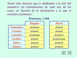 Ahora sólo tenemos que ir añadiendo a la raíz del sustantivo las terminaciones de cada uno de los casos, en función de la declinación a la que el sustantivo pertenece: Dominus, -i (m) Singular Plural Nominativo domin us domin i Vocativo domin e domin i Acusativo domin um domin os Genitivo domin i domin orum Dativo domin o domin is Ablativo domin o domin is