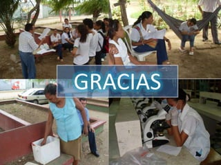GRACIAS