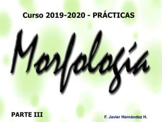 333333
Curso 2019-2020 - PRÁCTICAS
PARTE III F. Javier Hernández H.
 