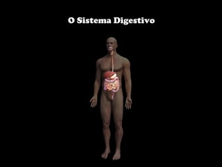 O Sistema Digestivo

 