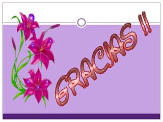 Morfologia sistema nervioso