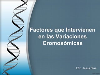 Factores que Intervienen
en las Variaciones
Cromosómicas
Efro. Jesus Diaz
 