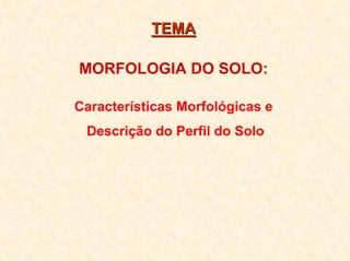 TEMATEMA
MORFOLOGIA DO SOLO:
Características Morfológicas e
Descrição do Perfil do Solo
 